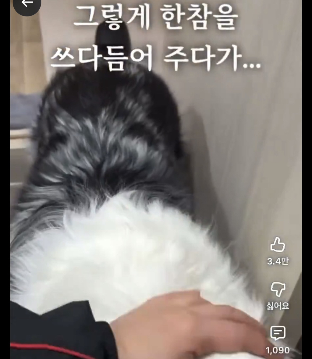 주인-따라-화장실에-들어온-강아지가-한-말-3-이미지