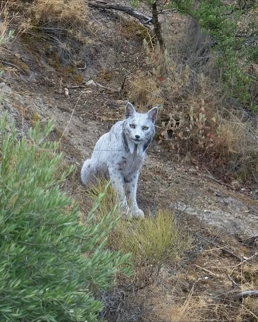올해-세계-최초로-공개된-동물-1-이미지