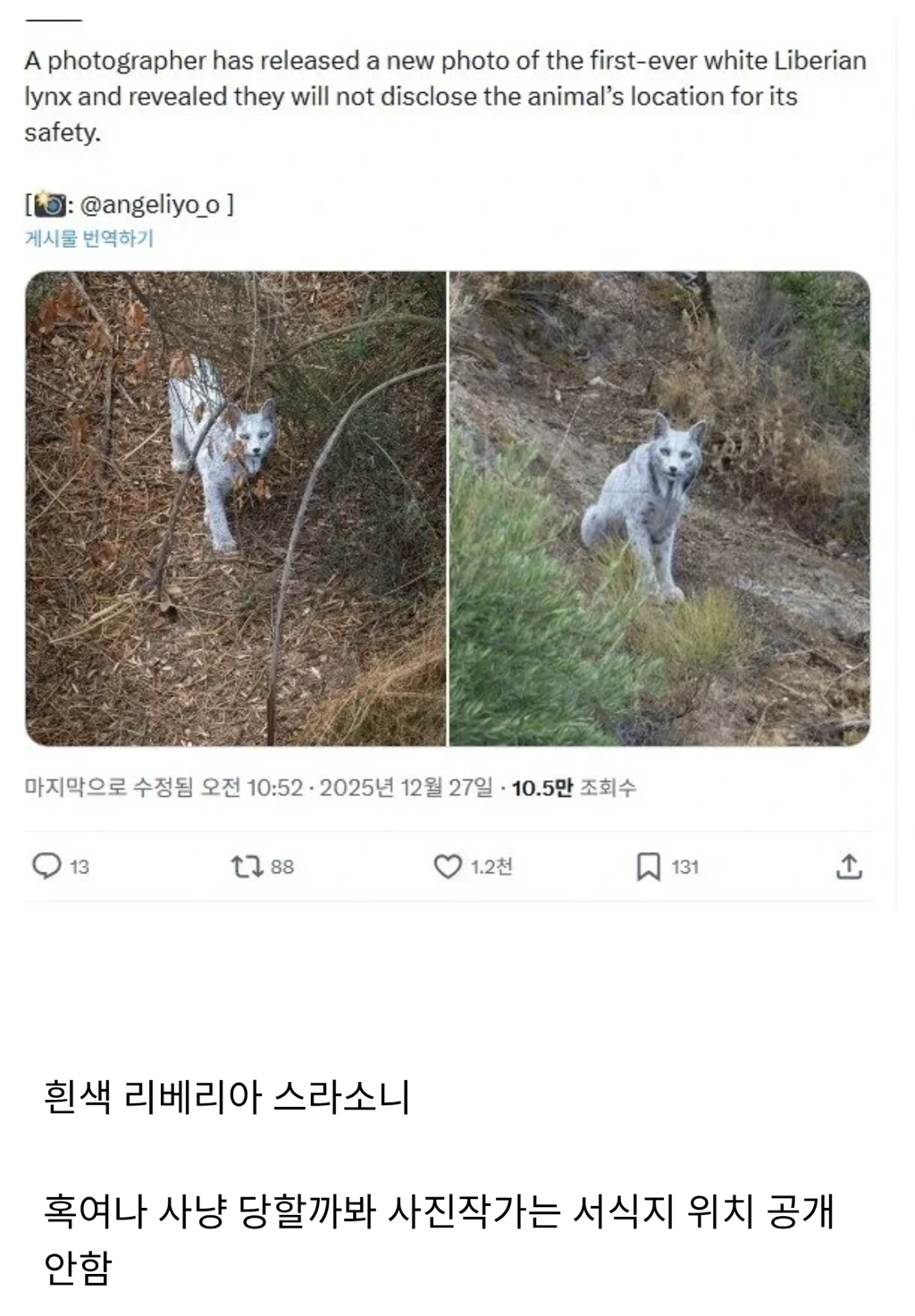 올해-세계-최초로-공개된-동물-3-이미지