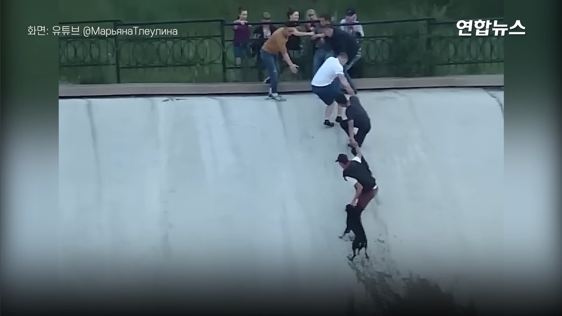 [영상]-"10년-전-인간사슬로-개를-구했죠"…카자흐에-세워진-동상-0-이미지