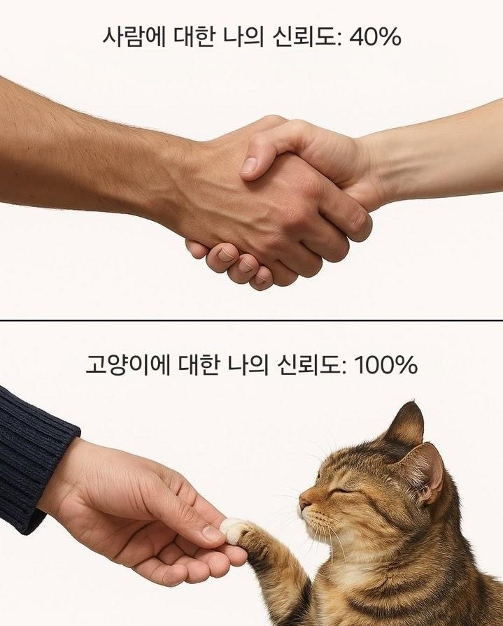 사람에-대한-나의-신뢰도:-20%-0-이미지