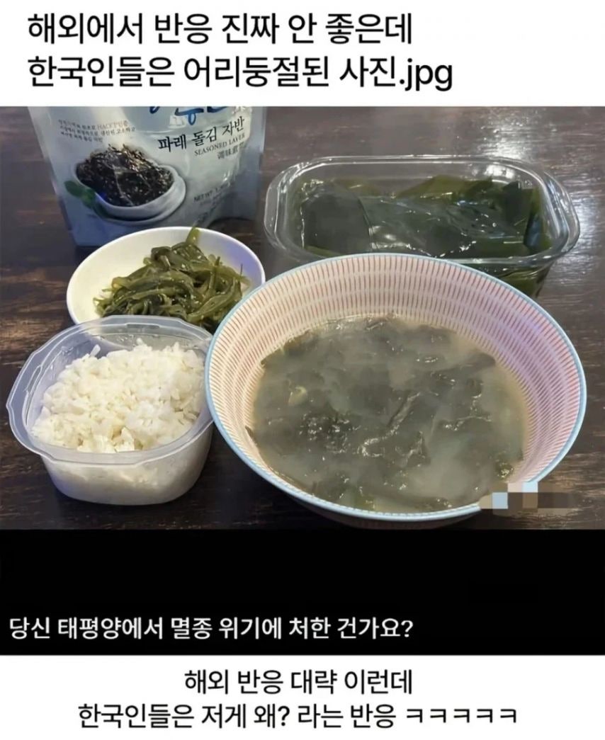한국인만-어리둥절-1-이미지