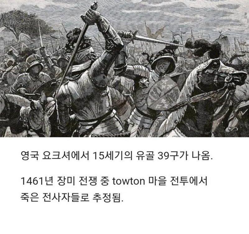 15세기-영국,-병사들의-유골-1-이미지