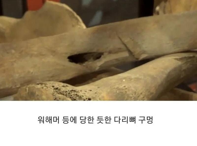 15세기-영국,-병사들의-유골-3-이미지