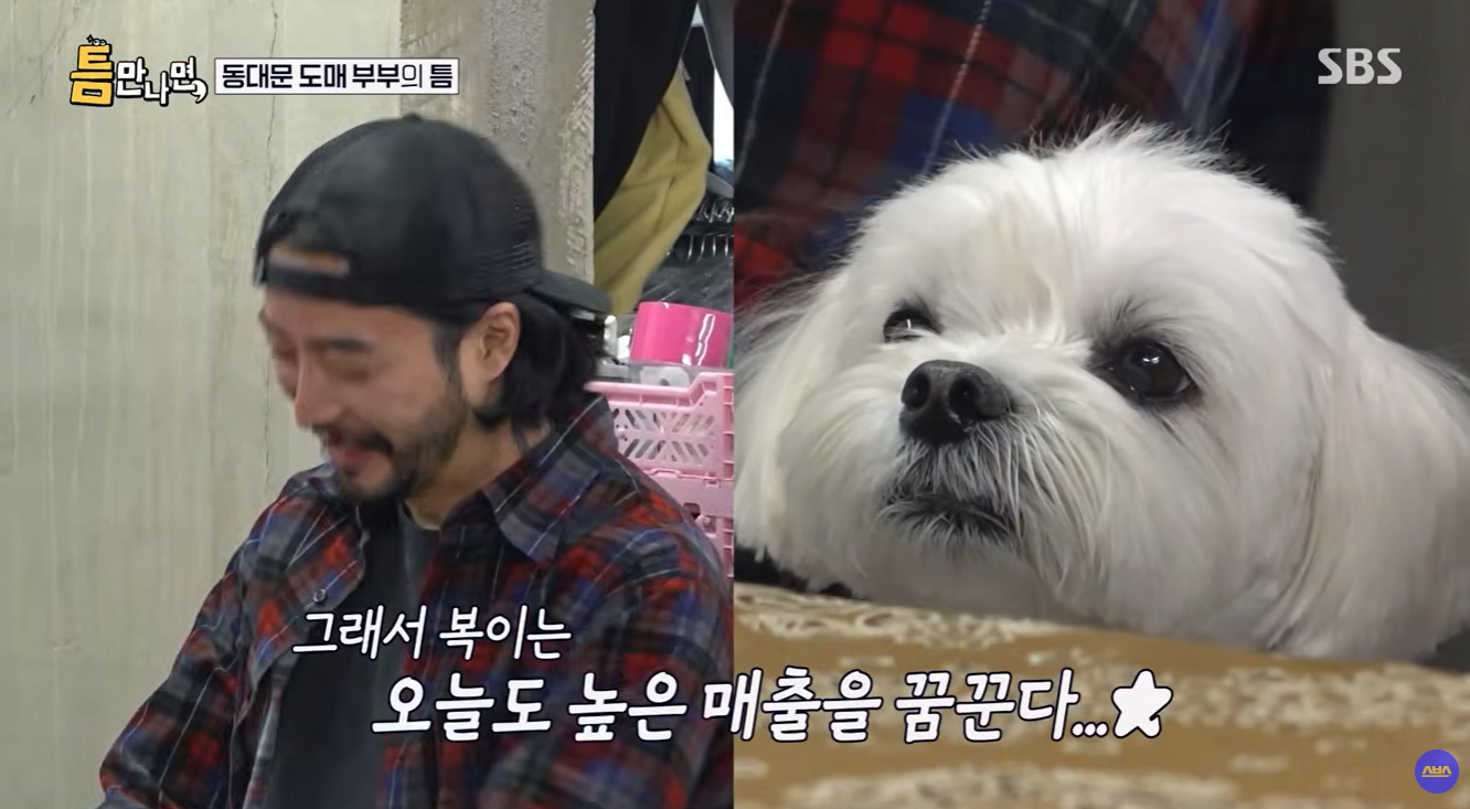 틈만-나면-나온-강아지가-너무-귀여워..............................ㅠㅠㅠㅠ-11-이미지