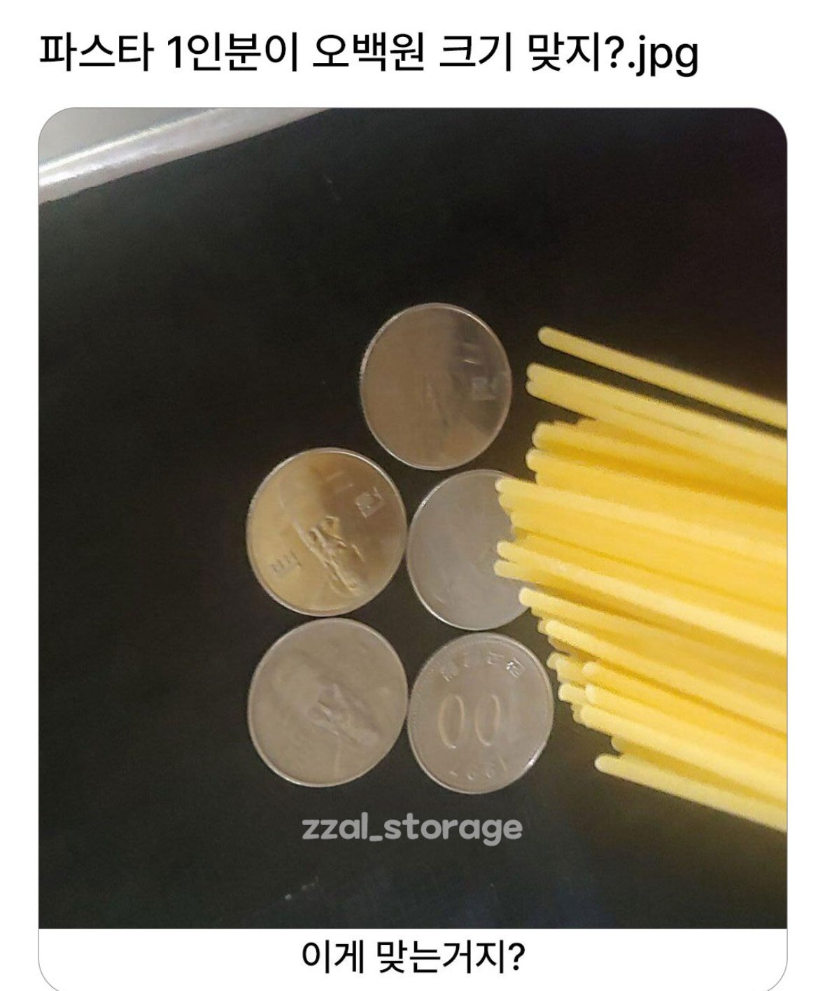파스타-1인분이-500원-크기-맞지?-0-이미지