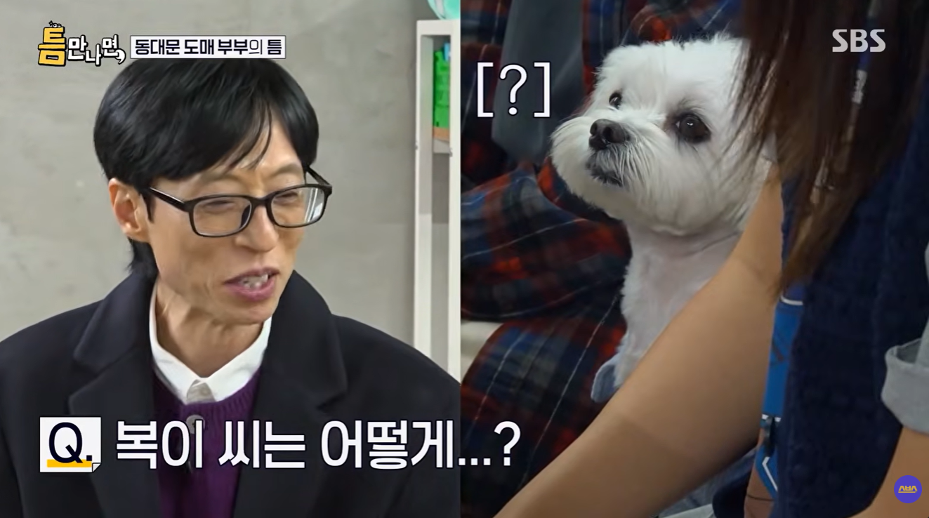 틈만-나면-나온-강아지가-너무-귀여워..............................ㅠㅠㅠㅠ-3-이미지