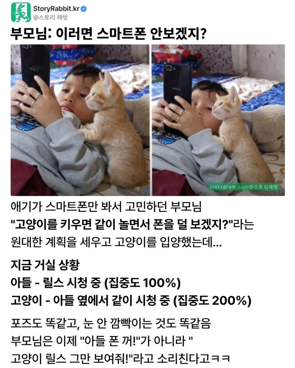 부모님:-고양이-데려오면-스마트폰-안-보겠지??-0-이미지