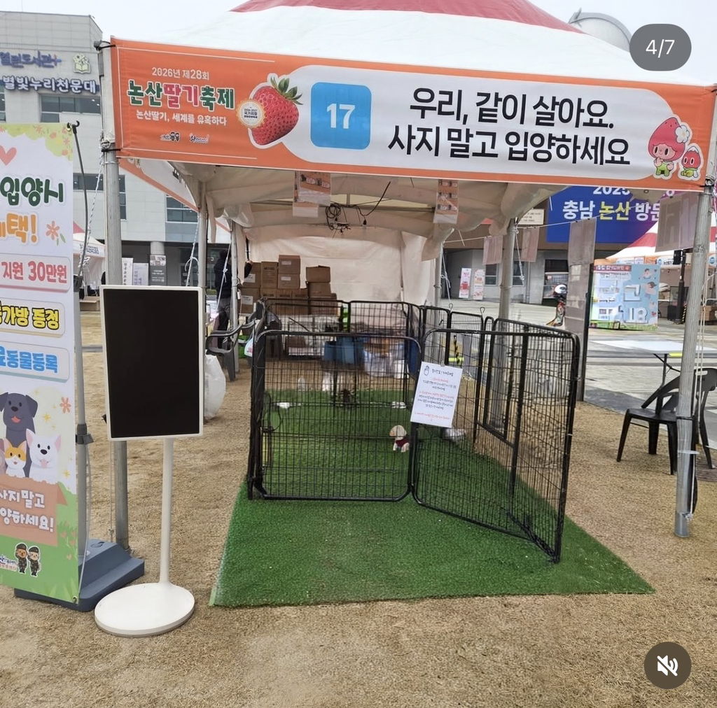 논산딸기축제-가면-제일-먼저-줄서야하는-부스.jpg-9-이미지