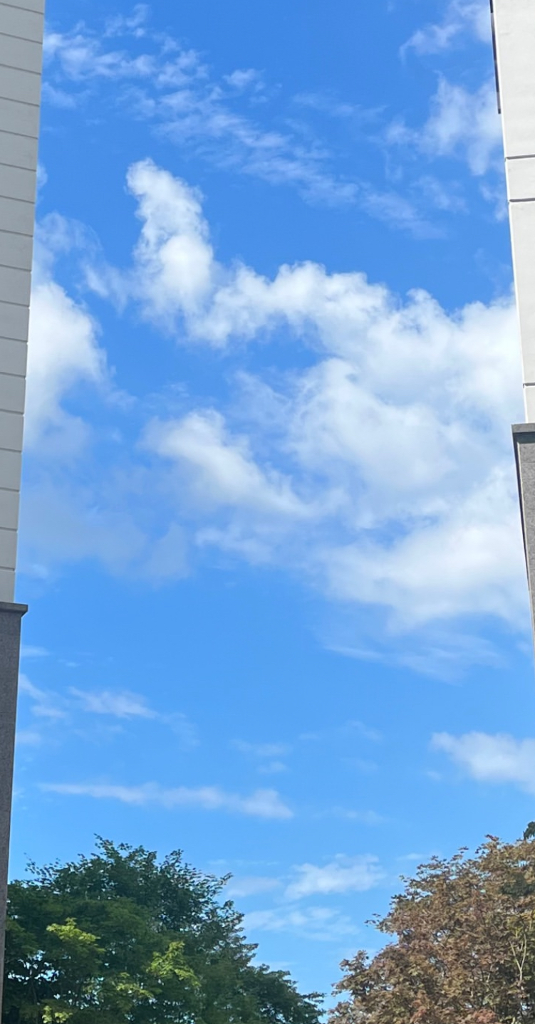 지구온난화로-본인-업보-그대로-당하는-중국-미세먼지-현황-1-이미지