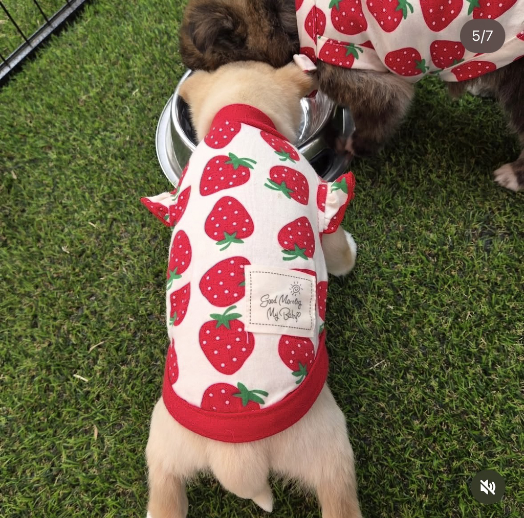 논산딸기축제-가면-제일-먼저-줄서야하는-부스.jpg-5-이미지