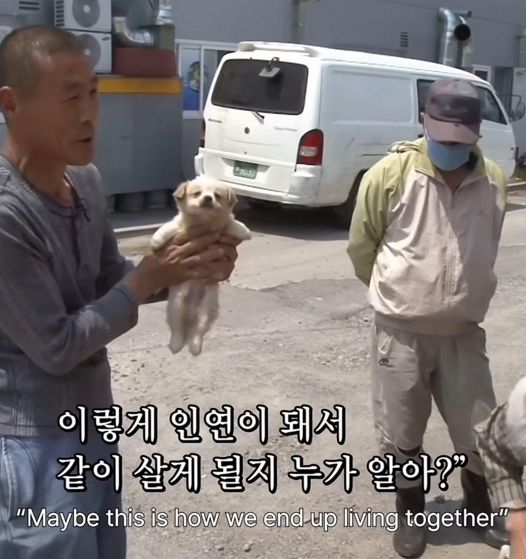 한국-반려견,-반려묘-품종-변화-3-이미지