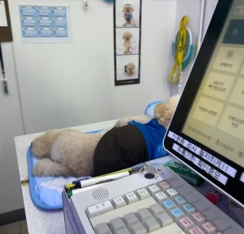 실시간-난리난-편의점에서-이불깔고-베개베고-누워있는-점장-0-이미지