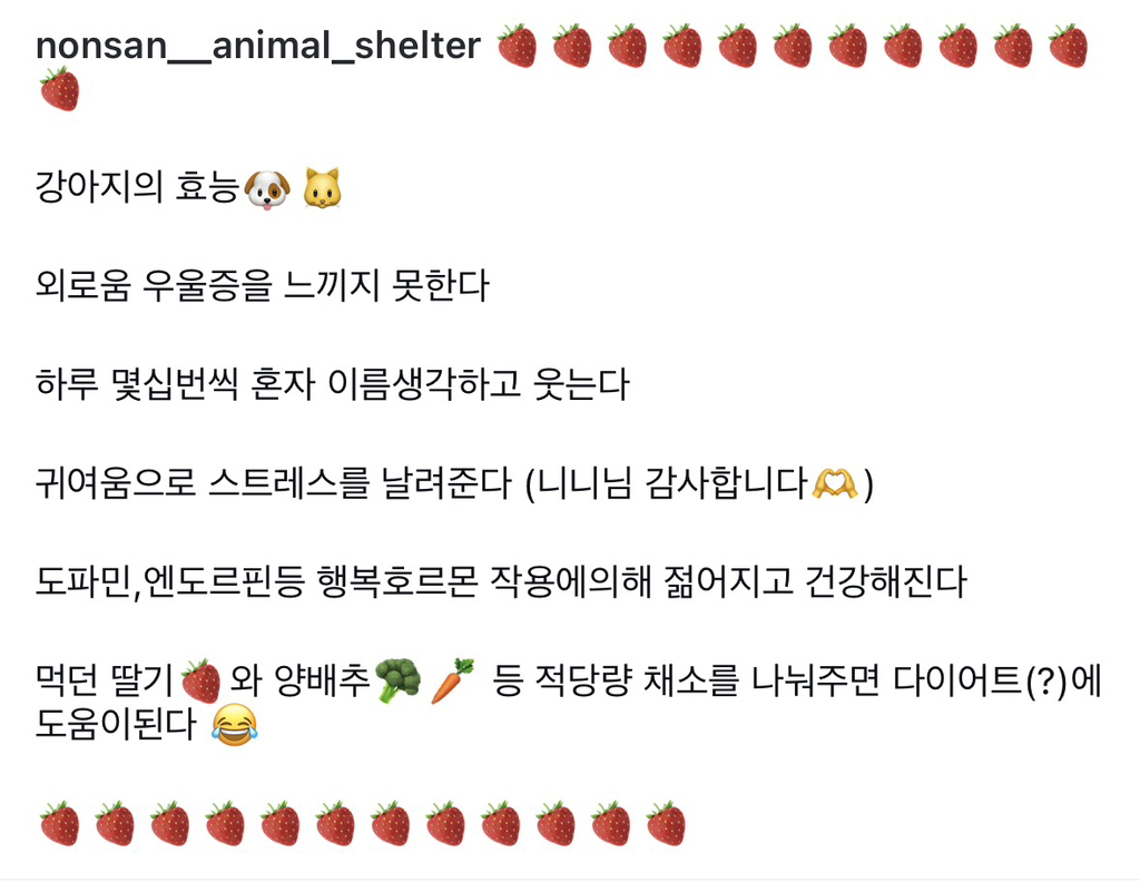 논산딸기축제-가면-제일-먼저-줄서야하는-부스.jpg-11-이미지