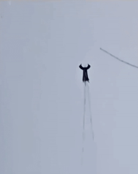 이해하는데-시간이-조금-걸리는-짤.gif-0-이미지