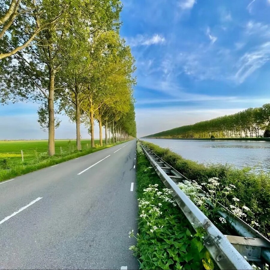 합성-아닌-사진들-2-이미지