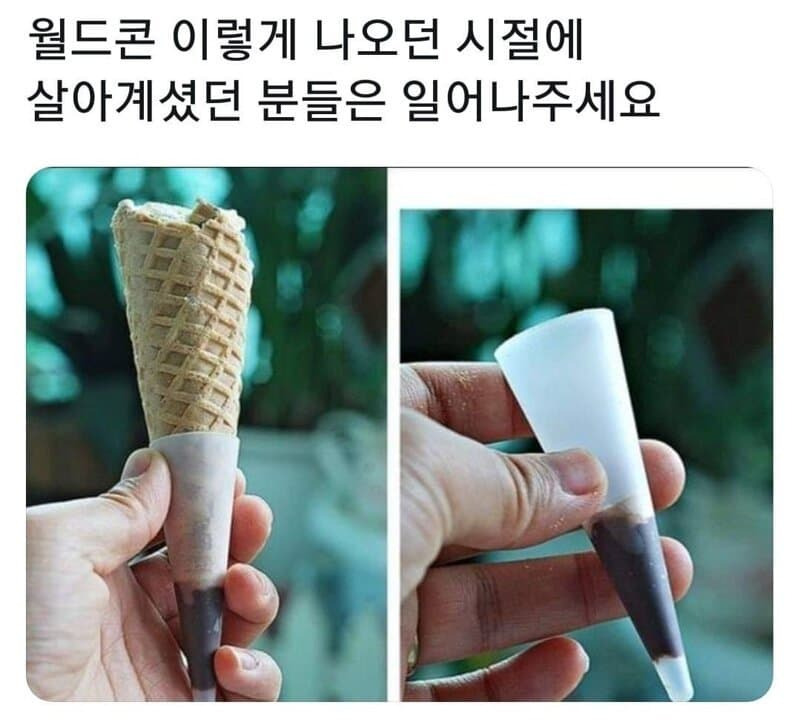 월드콘이-원래-이랬던걸-아는-사람-0-이미지