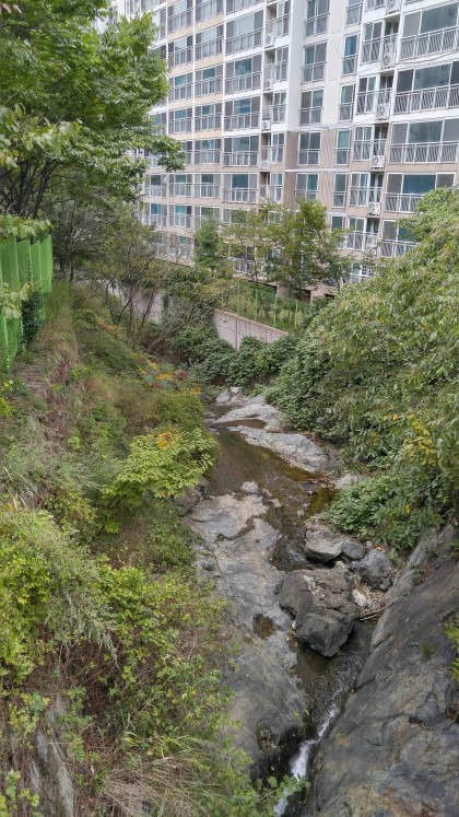 부산의-빌헬름-협곡-아파트-6-이미지