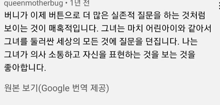 집사에게-예전에-개였냐고-물어보는-버니-🐶-40-이미지
