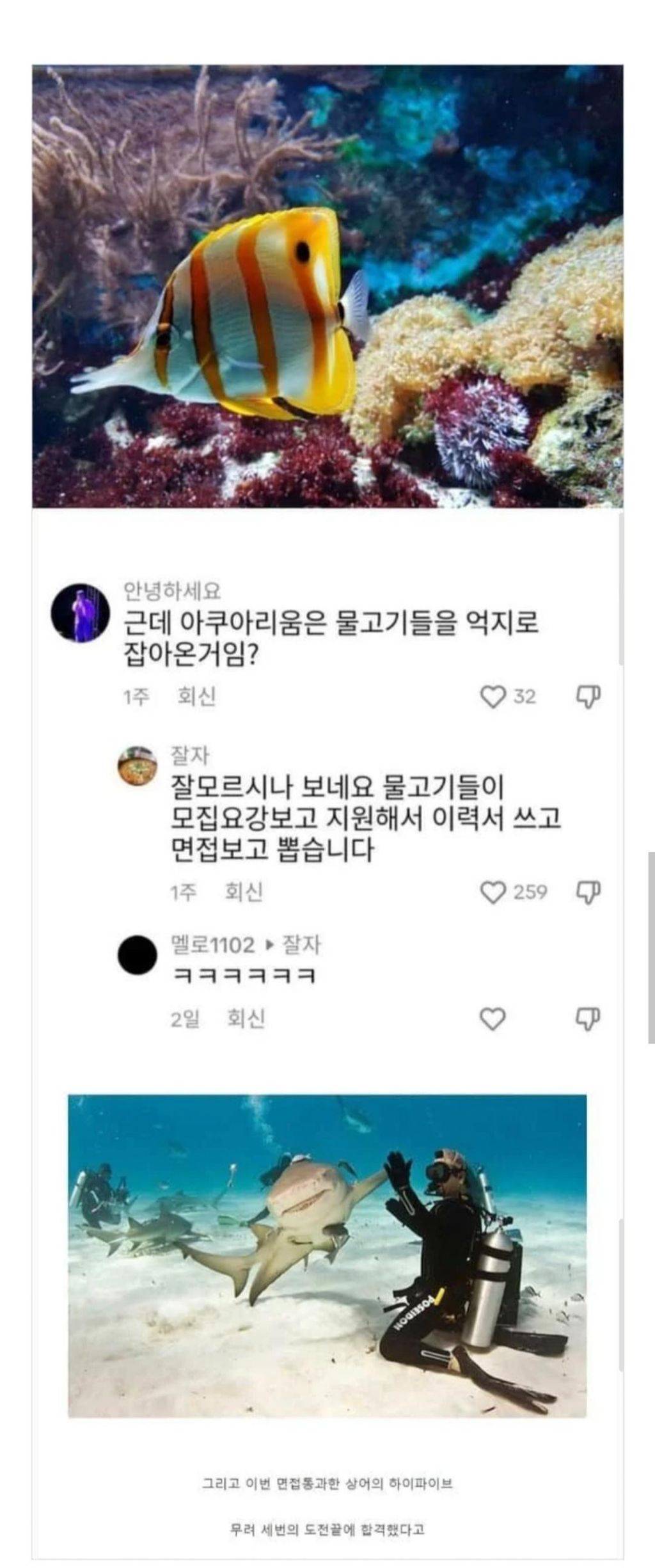 아쿠아리움-물고기는-억지로-잡아온-거임??-1-이미지
