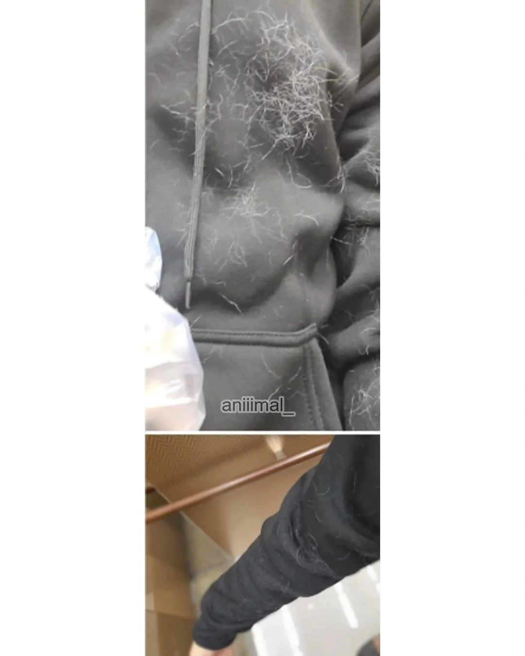 아파트에-왠-댕댕이가-돌아다니는데-어캄-11-이미지