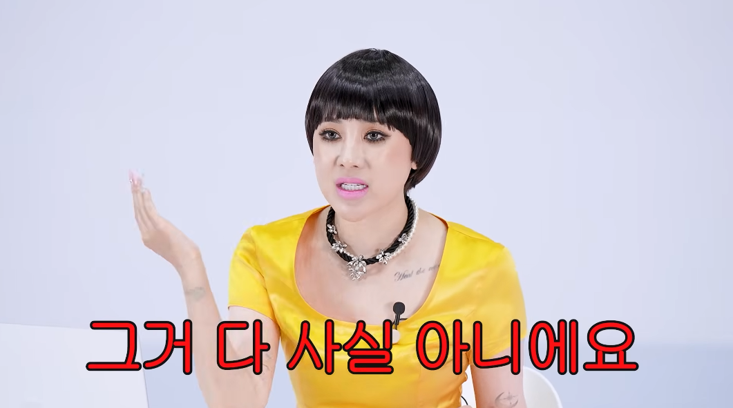 서인영:-저는-그렇게-역겨운-사람은-아니에요.twt-5-이미지