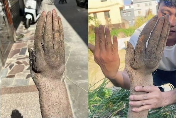 밭-갈다가-발견된-흙투성이-손-ㄷㄷㄷ-1-이미지