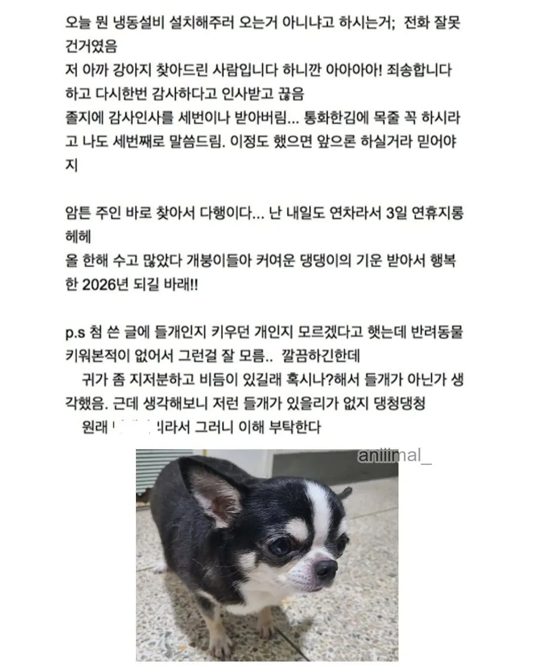 아파트에-왠-댕댕이가-돌아다니는데-어캄-14-이미지