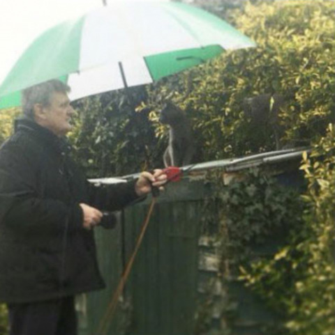 반려-동물이-싫다던...-시리즈-1-이미지