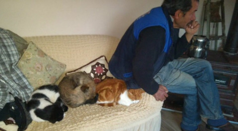 반려-동물이-싫다던...-시리즈-14-이미지