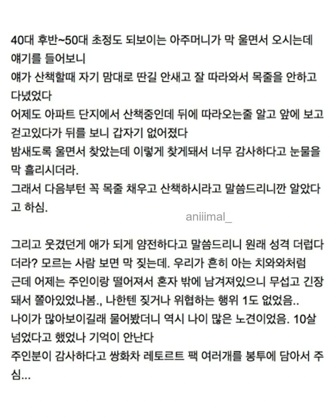아파트에-왠-댕댕이가-돌아다니는데-어캄-9-이미지
