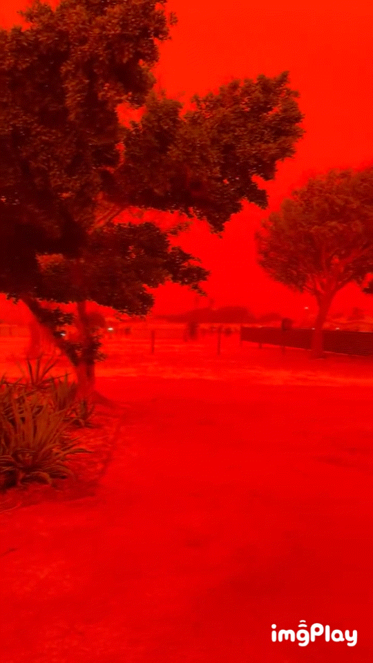 모래-폭풍으로-인해-붉게-물든-호주-1-이미지