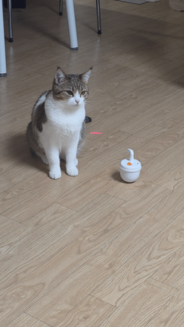 자동-장난감으론-우리-고양이-만족을-못-시키네..-0-이미지