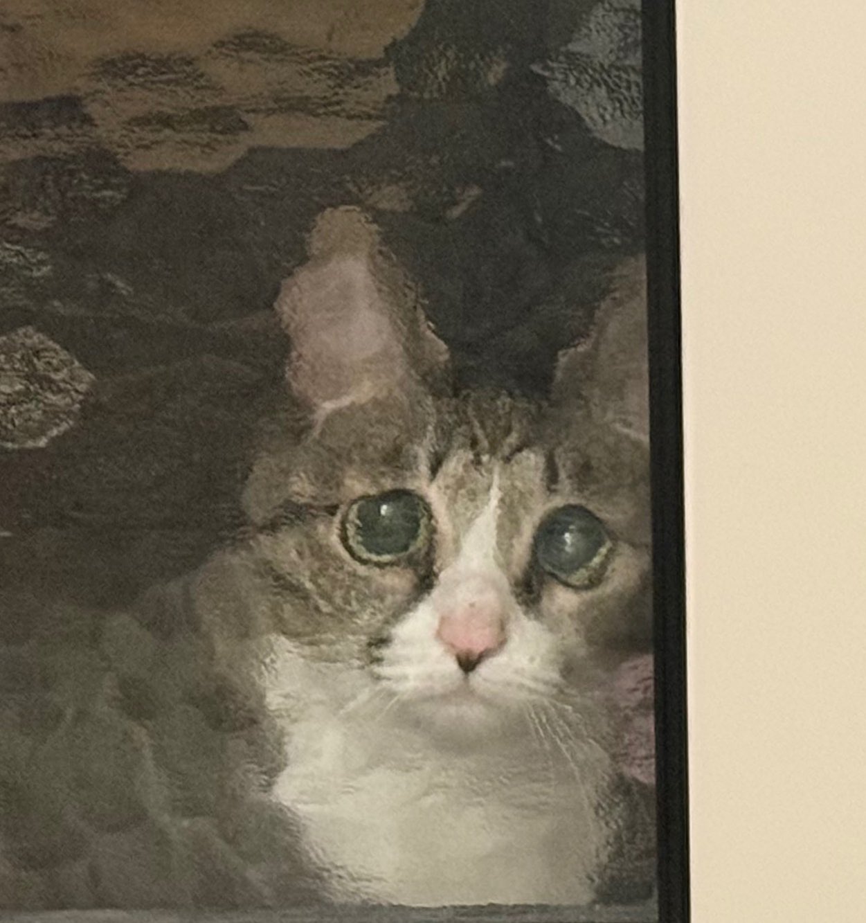 가뜩이나-억울하게-생겼는데-유리-패턴때문에-더-억울해진-김게울씨-1-이미지