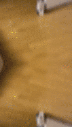 앞머리가-귀여운-아기고양이의-성장-0-이미지