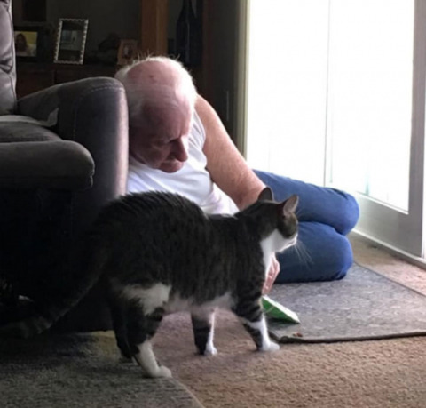 반려-동물이-싫다던...-시리즈-6-이미지