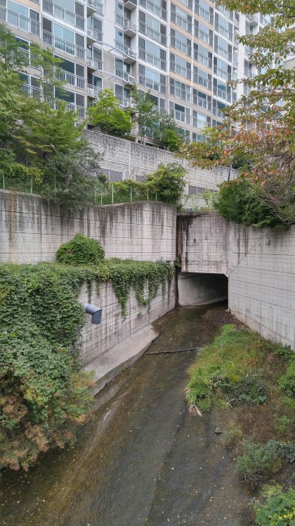 부산의-빌헬름-협곡-아파트-7-이미지