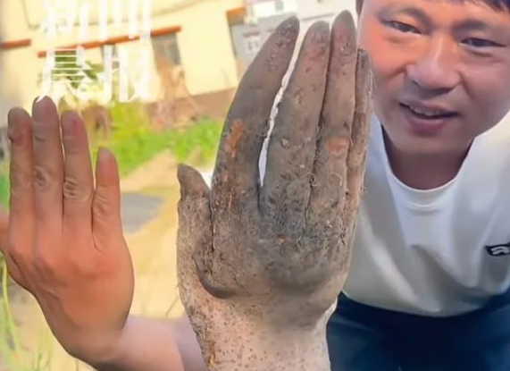 밭-갈다가-발견된-흙투성이-손-ㄷㄷㄷ-3-이미지