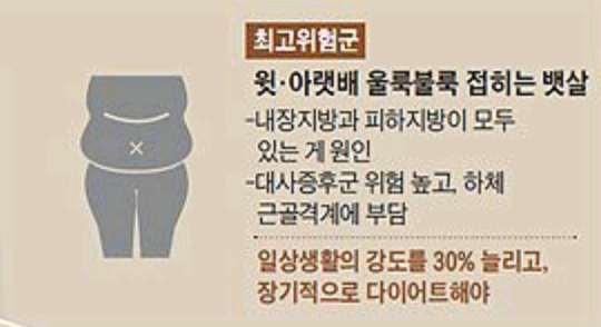 가장-위험한-뱃살-2-이미지