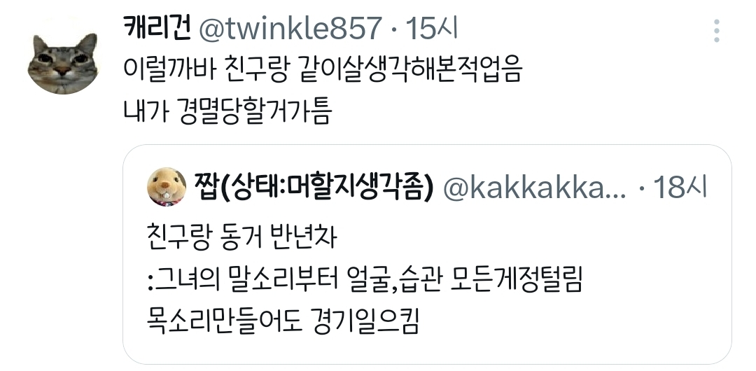 친구랑-동거-반년차.twt-2-이미지