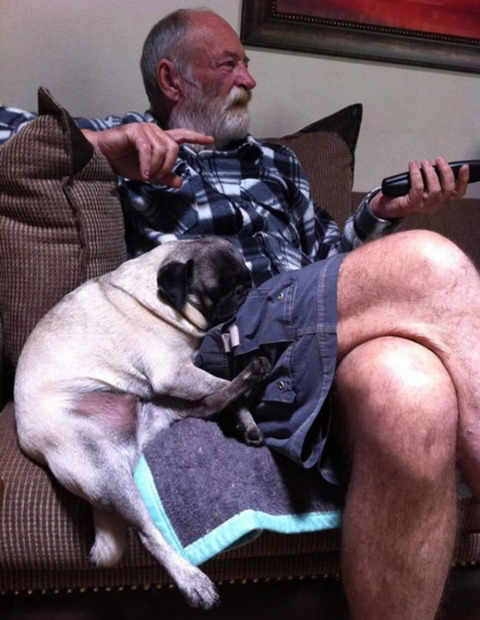 반려-동물이-싫다던...-시리즈-10-이미지