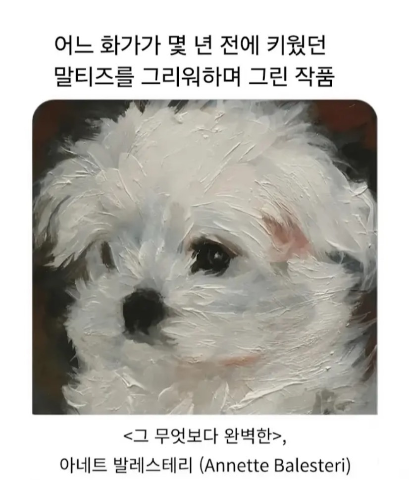 어느-화가가-그린-무지개-다리-건넌-자기-강아지-그림-0-이미지