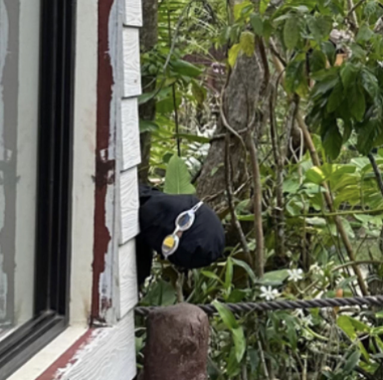 자외선-차단에-진심인-배우-이세희-6-이미지