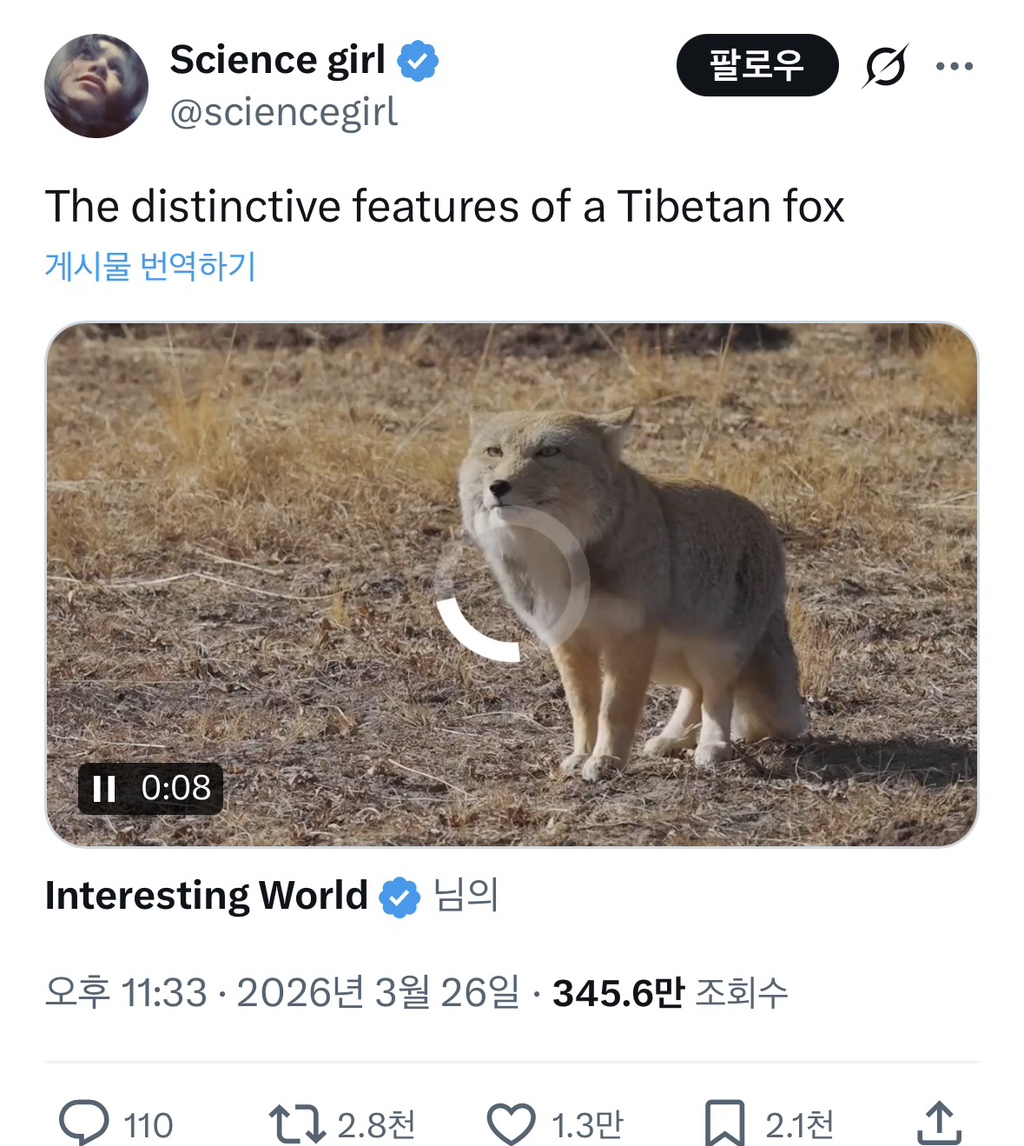 뭐야-AI나-합성-아니에요?-0-이미지