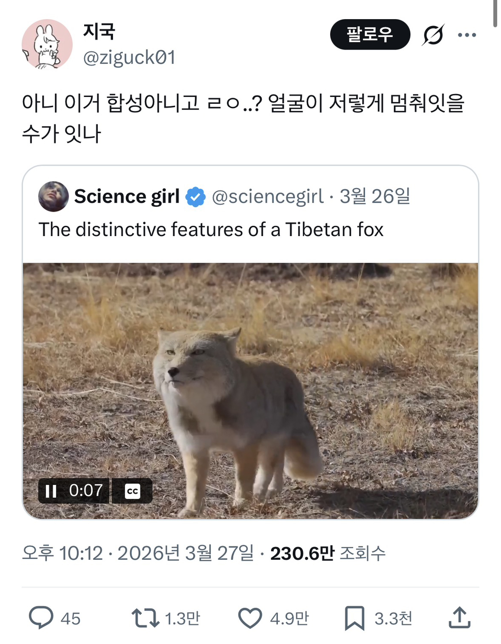 뭐야-AI나-합성-아니에요?-1-이미지