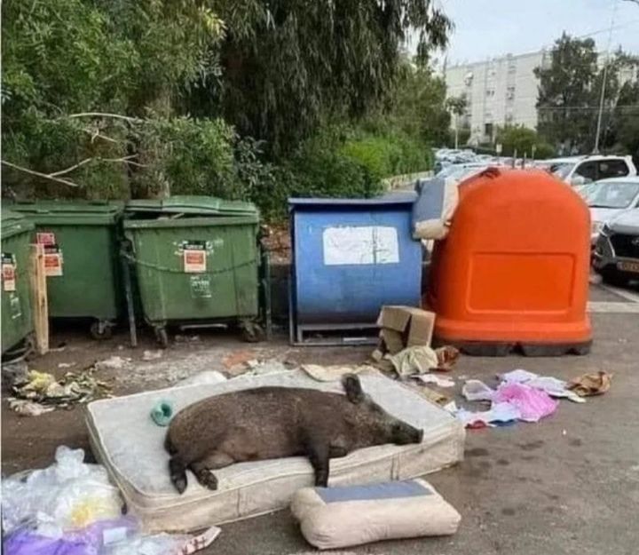 엄마가-보는-내-방의-모습.jpg-2-이미지