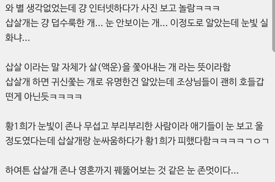 삽살개가-귀신쫓는-개인-이유-ㄷㄷ-5-이미지