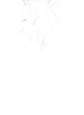 메가박스-돌비시네마-인트로...jpg-10-이미지