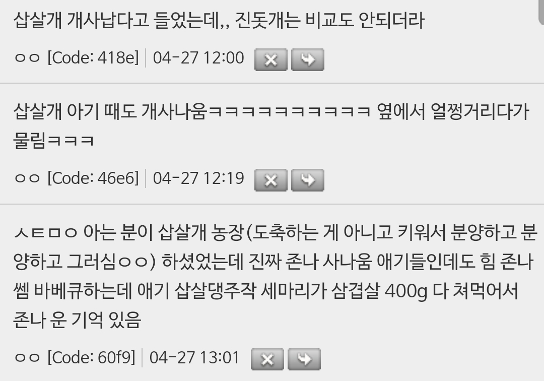 삽살개가-귀신쫓는-개인-이유-ㄷㄷ-8-이미지