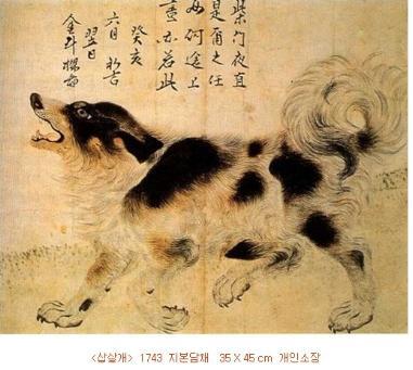 삽살개가-귀신쫓는-개인-이유-ㄷㄷ-3-이미지